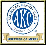 Proud to be an AKC Breeder of Merit