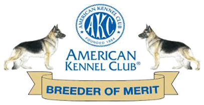 AKC Breeder of Merit Award