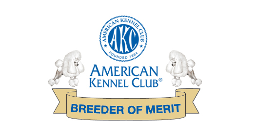 AKC Breeder of Merit